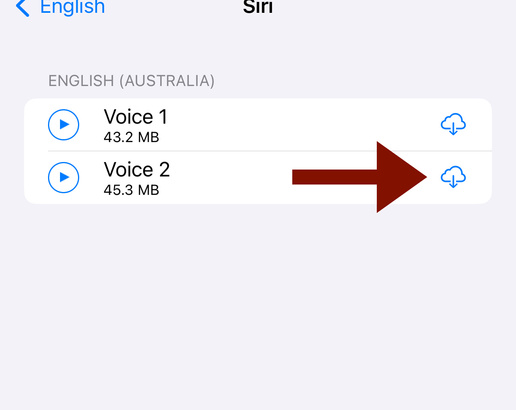 Select voice menu with an arrow to the download icon
