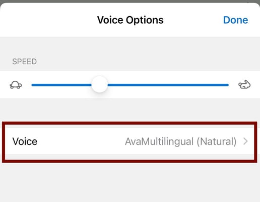 An image of the Voice Options menu in Edge showing Speed and Voice options